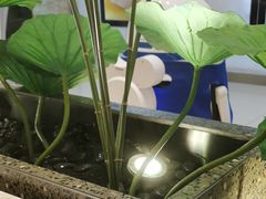 -新辣道鱼火锅(航天万源店)