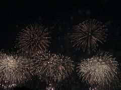 -台场海滨公园船码头