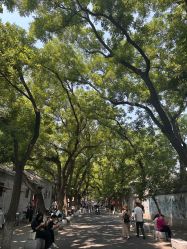 -FINE HAIR 烫染专业设计