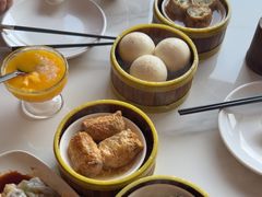 -东方早茶 海鲜•青岛菜(国信体育中心店)