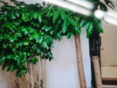 -感智盲人按摩·艾灸·肩颈SPA(岗厦店)