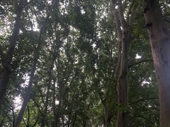 -雨花台烈士纪念馆