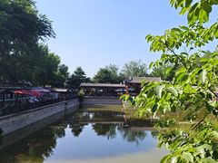 -尚庄度假村·庭台树下·户外烧烤·团建CS·轰趴营地(上庄水库店)