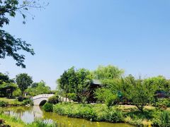 -鹅湖玫瑰文化园