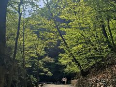 -本溪汤沟绿石谷森林公园