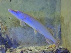 -东方巨龟苑景区