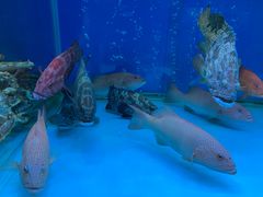 -金悦轩海鲜酒家(银河店)