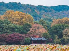 -北山街历史文化街区