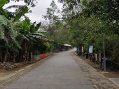 -扬美古镇景区