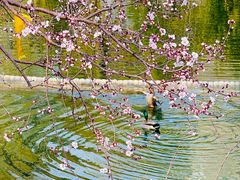 -安定门(地铁站)