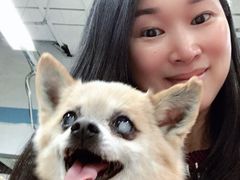 -乐宠宠物店(世纪金源店)