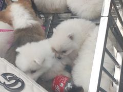 -野上麦田(中贸广场店)