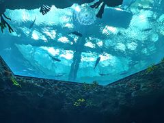 -南昌融创海世界