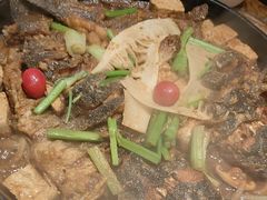 -老板恋上鱼(印象城店)