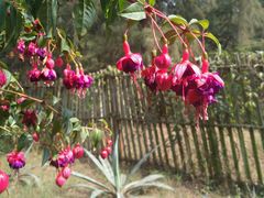 -北海金海湾红树林生态旅游区