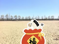 -呼兰河口湿地公园