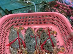 -万尾农贸市场