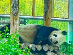 -鄂尔多斯野生动物园