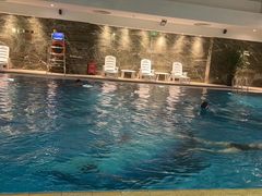 -大连中远海运洲际酒店