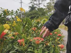 -南宁花花大世界景区