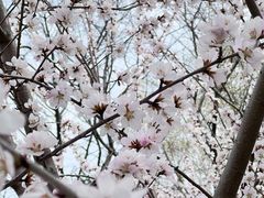 -吉林大学(南岭校区)