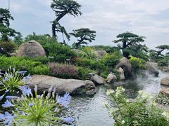 -罗红摄影艺术馆