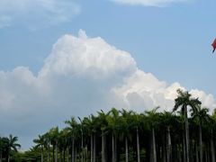 -深圳国际园林花卉博览园