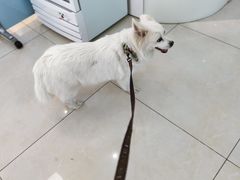 -北京观赏动物医院·24小时大型综合·猫专科·异宠专科