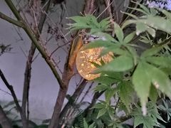 -成都院坝精品私汤民宿酒店