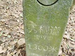 -梧桐山风景名胜区