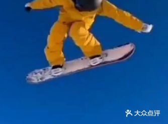 炸翻全场！萌娃滑雪姿势太帅了！
