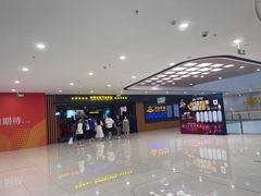 -万达影城(闵行颛桥万达广场杜比影院店)