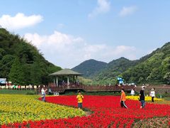 -广州市石门国家森林公园