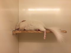 -龙猫仔乐园(惠福东路店)