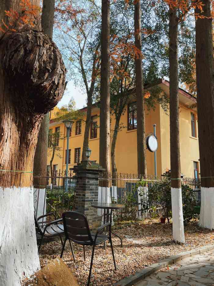 甲午小站(t80店)-"甲午小站真是适合看雪景的地方,室内色彩丰.