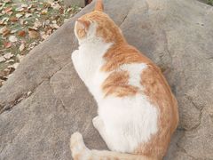 -华东政法大学(松江校区)