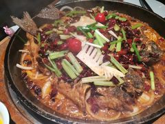 -老板恋上鱼(印象城店)