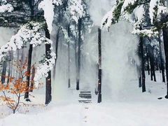 -黄椅山火山森林公园