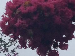 iphone_upload_pic-邓小平故里
