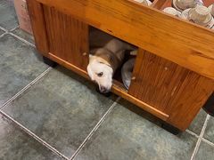 -朕悦鹧鸪饭私房菜