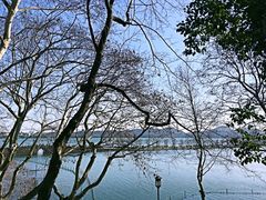 -杭州西湖风景名胜区-北街寻梦