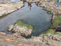 iphone_upload_pic-青岛第二海水浴场