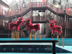 -广州融创水世界
