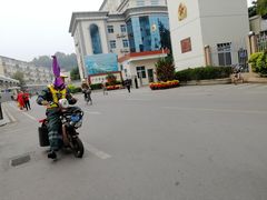 -长洲岛