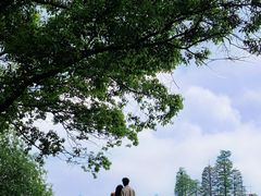 -东湖落雁景区