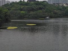 -重庆彩云湖湿地公园