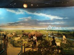 -陕西自然博物馆