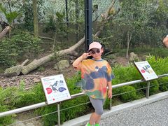 -新加坡飞禽公园