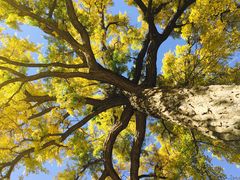 -天津盘山风景名胜区