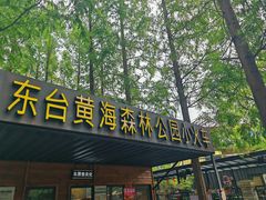 -黄海国家森林公园